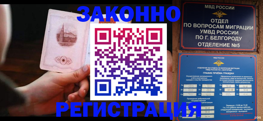 прописка 2025 в Куртамыше